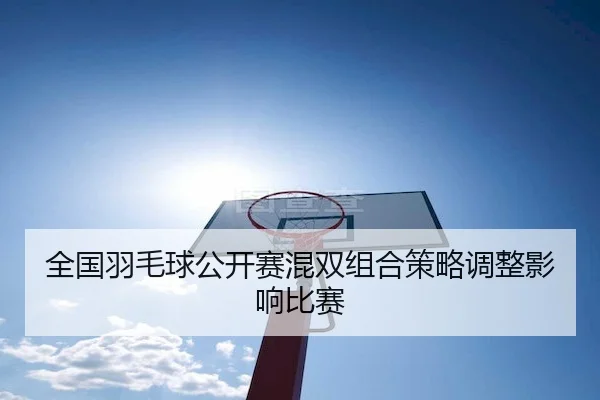 全国羽毛球公开赛混双组合策略调整影响比赛（6686Sports）